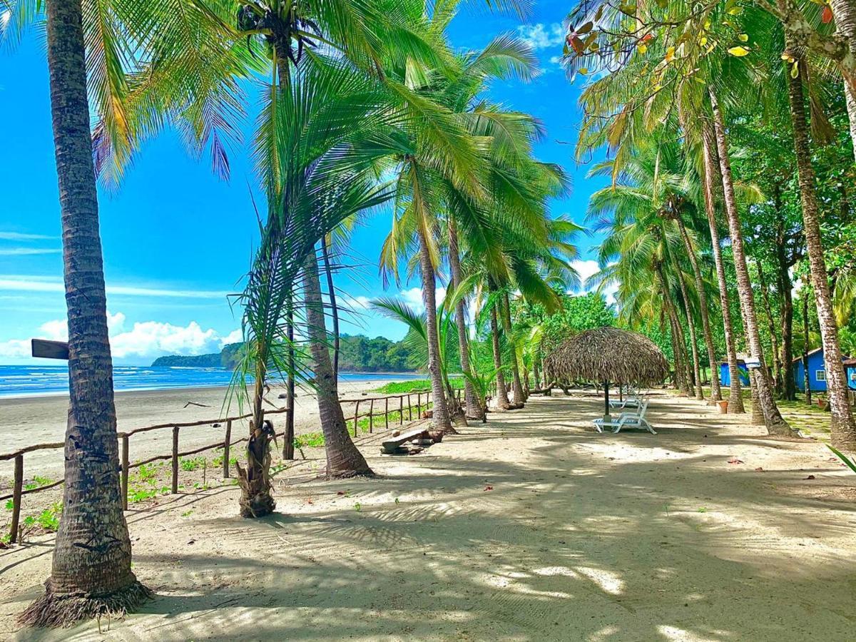 Hotel Oasis & Surf Camp Santa Catalina Ngoại thất bức ảnh