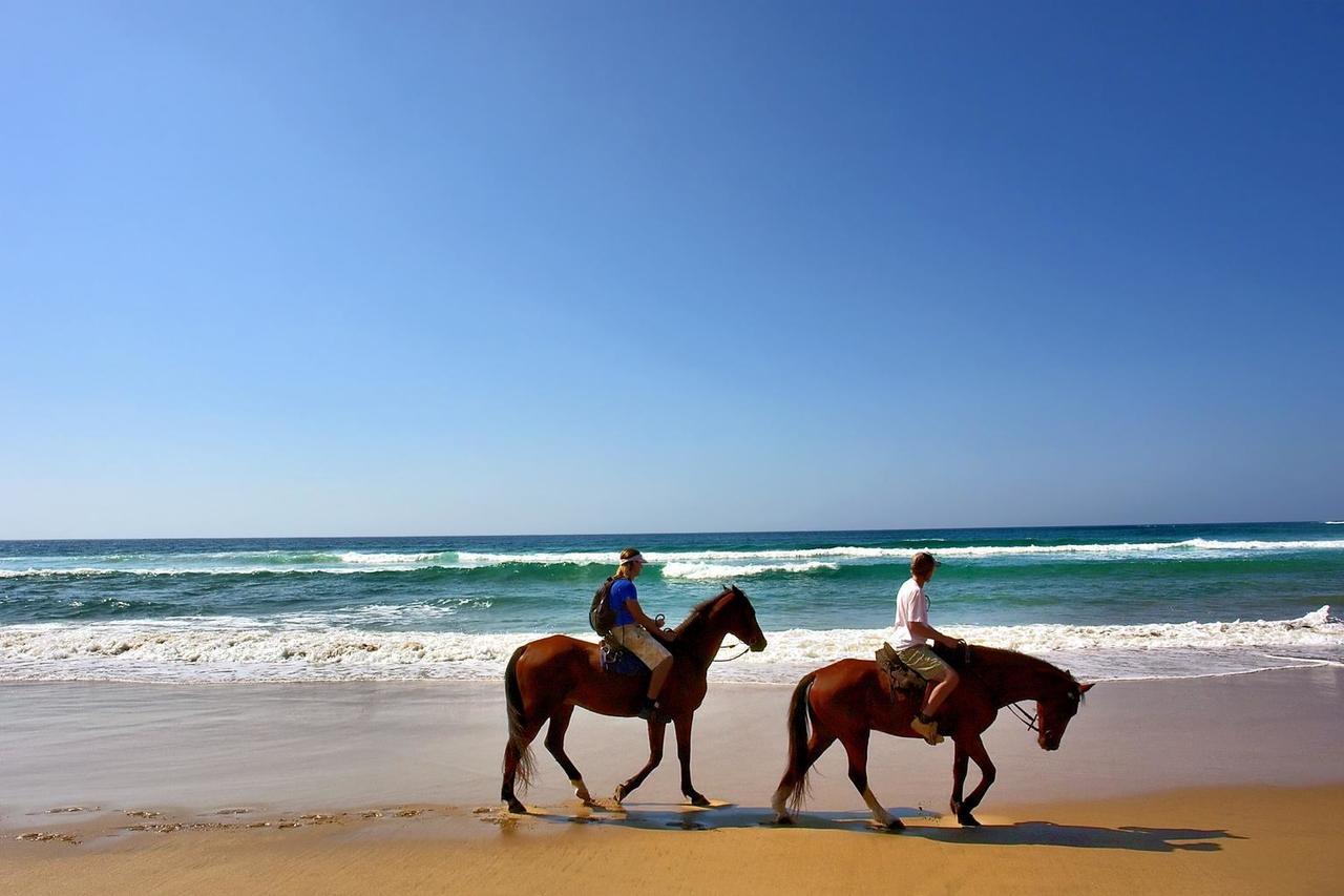 Hotel Oasis & Surf Camp Santa Catalina Ngoại thất bức ảnh