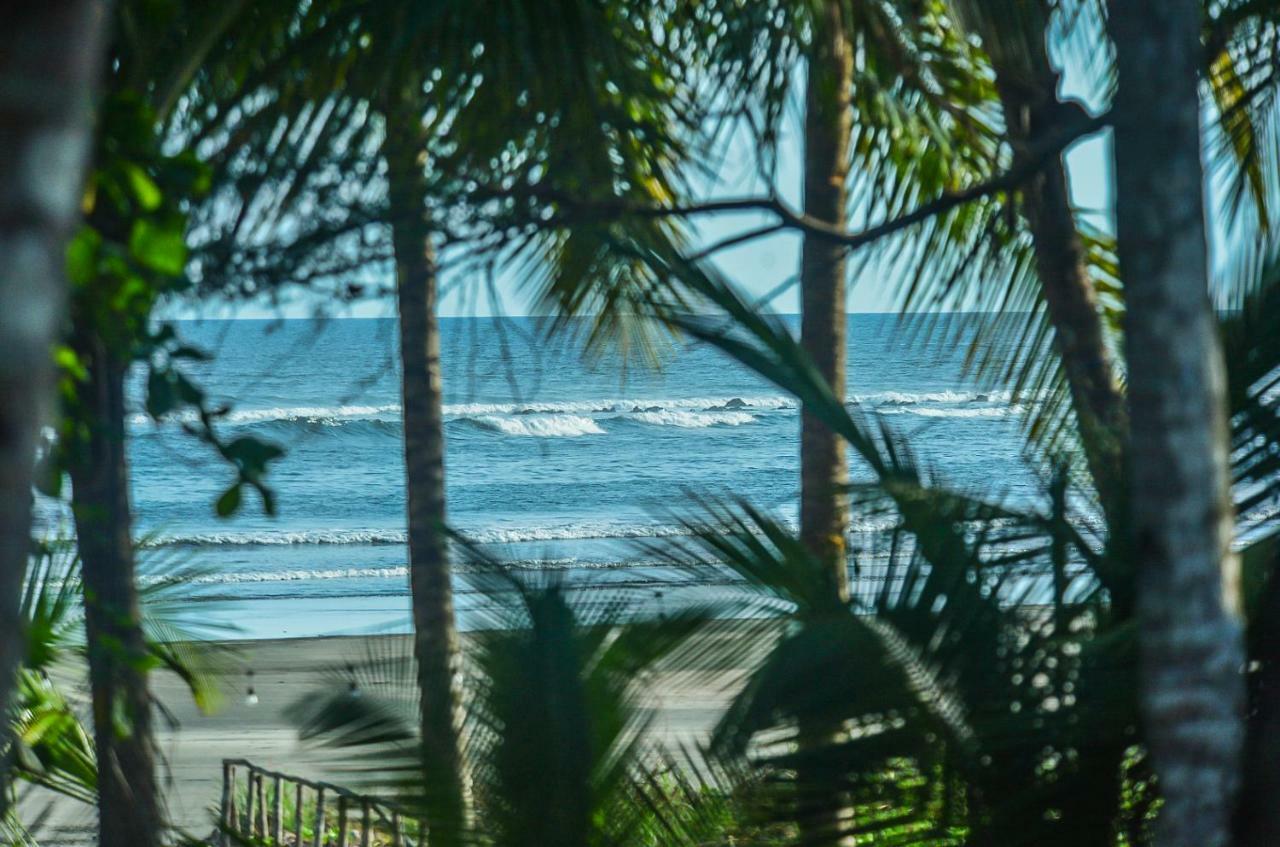 Hotel Oasis & Surf Camp Santa Catalina Ngoại thất bức ảnh